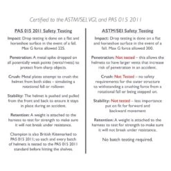 Champion Evolution Puissance Helmet - Navy -Roeckl Equestian Gear Shop 402166 800 800