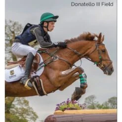 Tredstep Donatello III Field Boot - Black 13 Tredstep Donatello III Field Boot - Black -Roeckl Equestian Gear Shop 524639 800 800