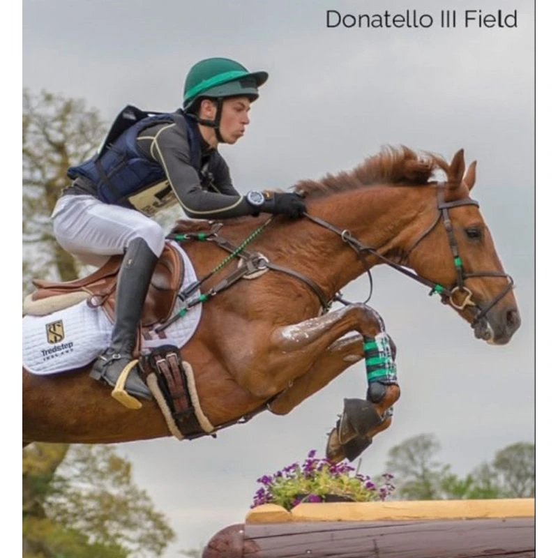 Tredstep Donatello III Field Boot - Black 6 Tredstep Donatello III Field Boot - Black - Image 6