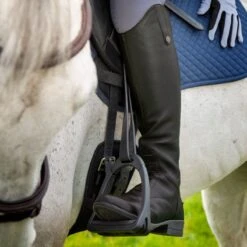 Shires Moretta Women's Gianna Leather Field Boots - Black -Roeckl Equestian Gear Shop 685195 800 800