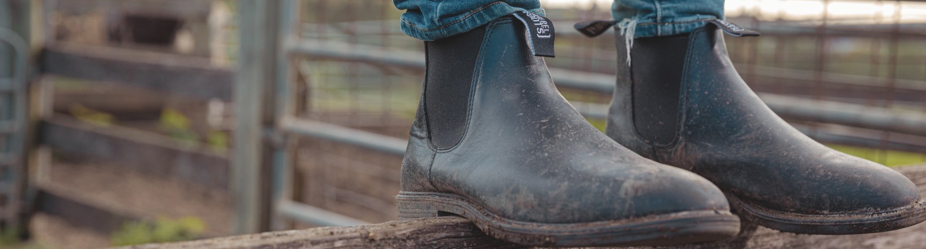 Front Page -Roeckl Equestian Gear Shop PB 816 1